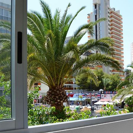 Margarita Apartment Benidorm Exteriör bild